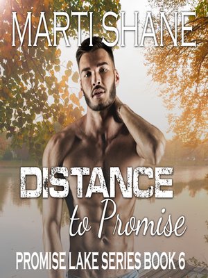 cover image of Distance to Promise